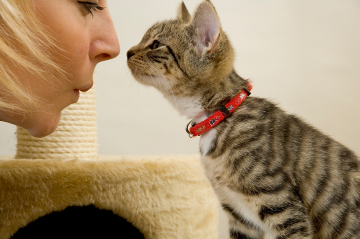 woman kissing cat on mouth